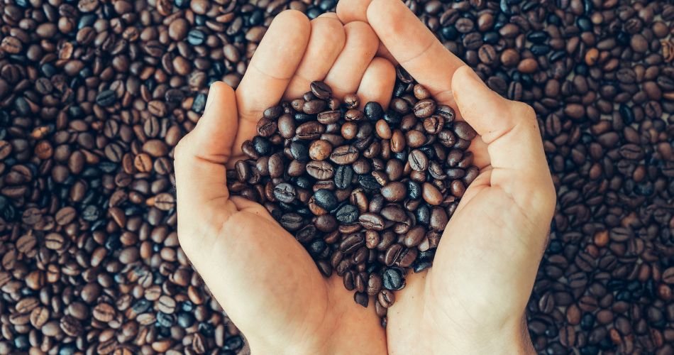 Biologische, Fairtrade en duurzame koffie